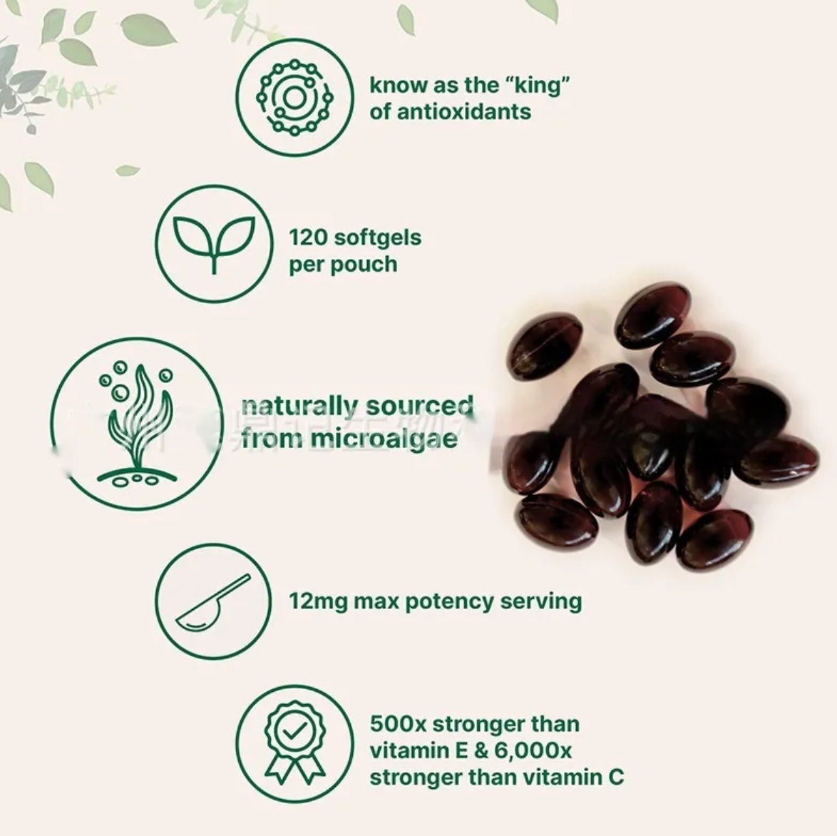 Astaxanthin Soft Capsules – 120 Tablets | Powerful Antioxidant Support